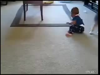 barking dog and laughing baby)))) fun with teen and animals 2014