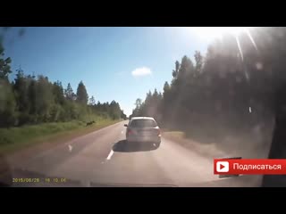 15 video of an accident of elks and a car filmed on a dvr 2019 all elks survived