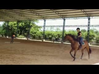 chomview horse riding club jumping lesson russian village in thailand, stable near the village