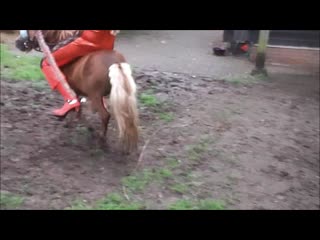 pony move